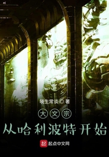 大文宗從哈利波特開始