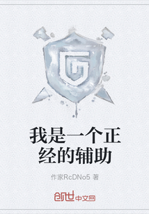 我是一個正經的輔助