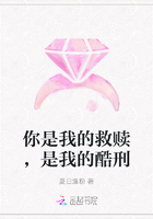 你是我的救赎，是我的酷刑在线阅读