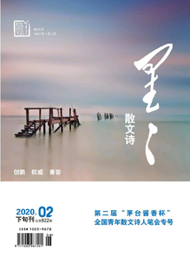 星星·散文詩(shī)（2020年第2期）