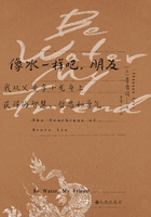 像水一样吧，朋友：我从父亲李小龙身上获得的智慧、哲思和勇气在线阅读