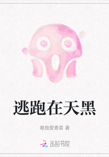 逃跑在天黑