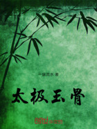 太极玉骨在线阅读