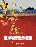认亲即入宫?反手抄家嫁将军!在线阅读