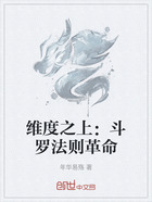 维度之上:斗罗法则革命在线阅读