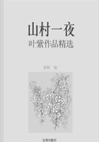 山村一夜：叶紫作品精选（中国文学大师经典必读）在线阅读