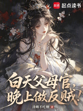 白天父母官，晚上做反贼！在线阅读