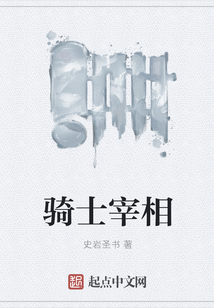 騎士宰相
