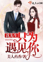 沈先生只為遇見你在線閱讀