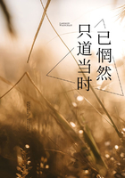 只道当时已惘然在线阅读