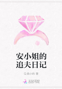 安小姐的追夫日記