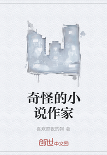 奇怪的小说作家