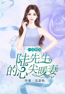 一念情深:陸先生的心尖暖妻