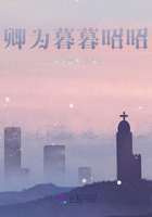 卿为暮暮昭昭在线阅读