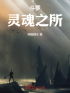 斗罗:灵魂之所在线阅读