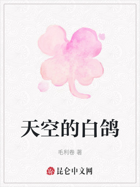 天空的白鸽在线阅读