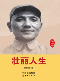 壯麗人生（第一卷）