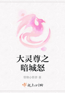 大靈尊之暗城怒