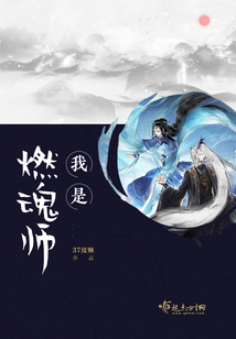我是燃魂師
