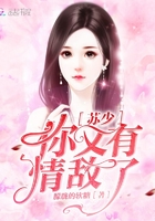 蘇少你又有情敵了在線閱讀