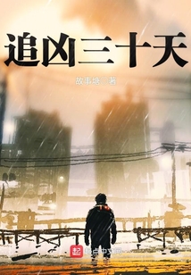 追兇三十天