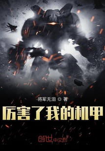 厲害了我的機甲
