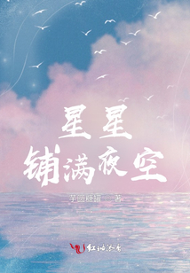 星星鋪滿夜空