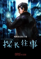 探長往事在線閱讀