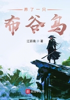 養(yǎng)了一只布谷鳥在線閱讀