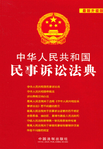 中華人民共和國民事訴訟法典（2013年版）