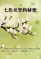 七色花里的秘密在線閱讀