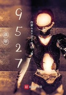 戰甲9527