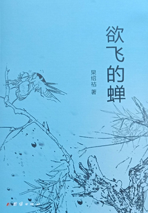 欲飛的蟬