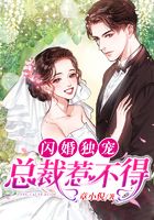 闪婚独宠:总裁惹不得