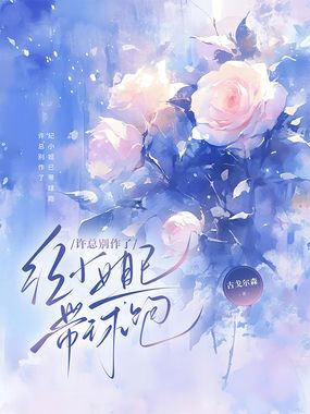 许总别作了,纪小姐已带球跑在线阅读