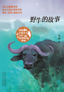 野牛的故事