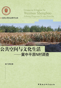 公共空間與文化生活：冀中平原N村調查