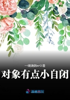 對象有點小自閉在線閱讀