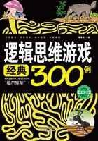 逻辑思维游戏经典300例（畅销3版）