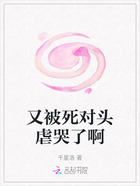 又被死对头虐哭了啊在线阅读