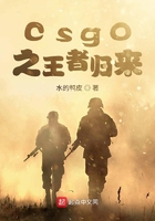 csgo之王者归来在线阅读