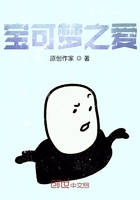 寶可夢之愛在線閱讀