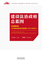 建设法治政府总蓝图：深度解读《法治政府建设实施纲要（2015—2020年）》在线阅读