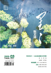 星星·散文诗（2020年第3期）