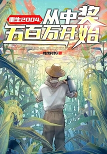 重生2004：從中獎五百萬開始
