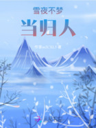 雪夜不梦当归人