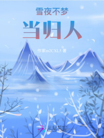 雪夜不夢當(dāng)歸人