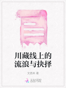 川藏線上的流浪與抉擇