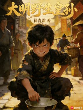 大明野生皇孙在线阅读