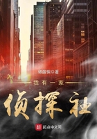 我有一家偵探社在線閱讀